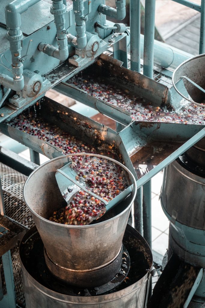 Food Processing